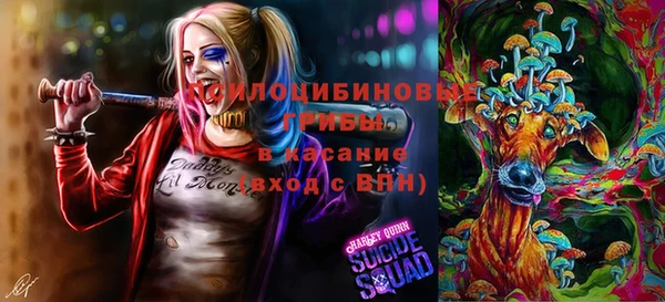 крисы Аркадак