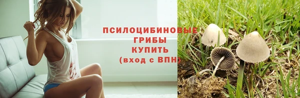 Альфа ПВП Арсеньев